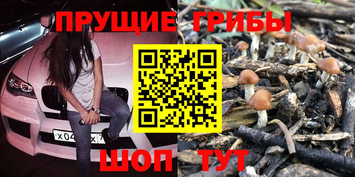 Долгопрудный  Псилоцибиновые грибы Psilocybine cubensis  купить наркоту  Вход с VPN  Галлюциногенные грибы Psilocybine cubensis 