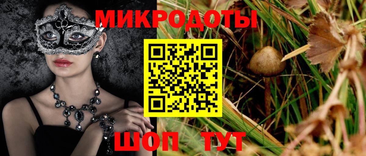 Галлюциногенные грибы мицелий Долгопрудный